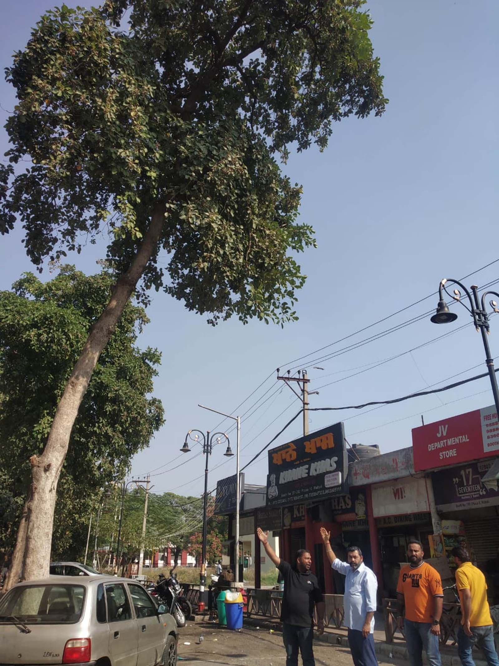 A big tree in the market of Phase 10 can cause a big accident if it ever falls. The shopkeepers of the market demand to cut the tree.